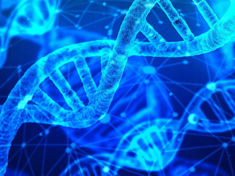 DNA